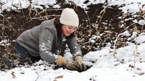 Au jardin : j’ai planté ces 3 fleurs en février pour un massif opulent au printemps