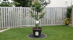 Bien choisir un arbre selon la taille de son jardin