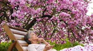 Cet arbre pousse aussi vite que le bambou, et sa floraison remarquable fait toute la différence