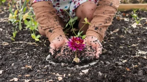 Les jardiniers aguerris ne plantent que ces 3 choses en mars : la vraie raison enfin révélée